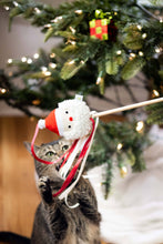 Load image into Gallery viewer, Holiday Santa Cat Christmas Teaser Wand Toy