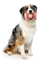 Load image into Gallery viewer, FuzzYard Dog Toy Can of Beer