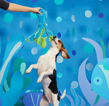 Load image into Gallery viewer, BARK Shifty Sid the Squid