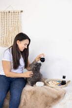 Load image into Gallery viewer, Pearhead Soy Sauce and Sushi Cat Toy Set 2pc
