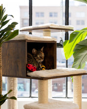 Load image into Gallery viewer, ZippyClaws 2-Pack - Ladybug and Bee