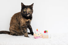 Load image into Gallery viewer, Birthday Cake Cat Toy Set