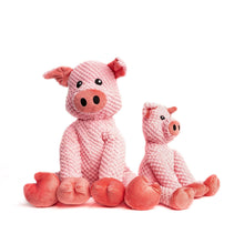 Load image into Gallery viewer, Floppy Pig Plush Dog Toy