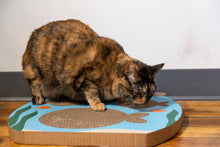 Load image into Gallery viewer, Fish Tank Cat Scratch Pad