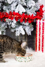 Load image into Gallery viewer, Merry Catmas Cat Holiday And Christmas Bowl