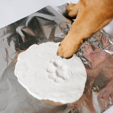 Load image into Gallery viewer, Pearhead Pawprints - Hanging Keepsake