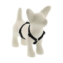 Load image into Gallery viewer, Lupine Roman Harness