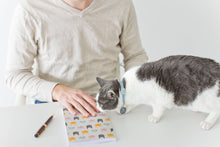 Load image into Gallery viewer, Multi Cat Decorative Journal