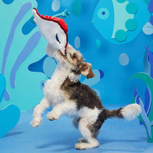 Load image into Gallery viewer, BARK Sting Crosby the Ray