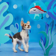 Load image into Gallery viewer, BARK Sting Crosby the Ray