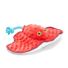 Load image into Gallery viewer, BARK Sting Crosby the Ray