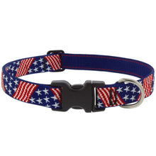Load image into Gallery viewer, Limited Edition Summer Designs - LupinePet Dog Collars & Leashes