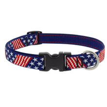 Load image into Gallery viewer, Limited Edition Summer Designs - LupinePet Dog Collars & Leashes