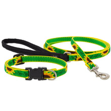 Load image into Gallery viewer, LupinePet Dog Collars & Leashes - Multi Designs!