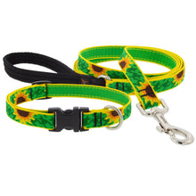 Load image into Gallery viewer, LupinePet Dog Collars & Leashes - Multi Designs!