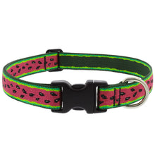 Load image into Gallery viewer, Limited Edition Summer Designs - LupinePet Dog Collars & Leashes