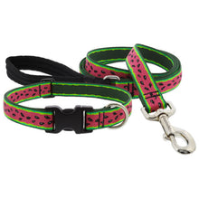 Load image into Gallery viewer, Limited Edition Summer Designs - LupinePet Dog Collars & Leashes