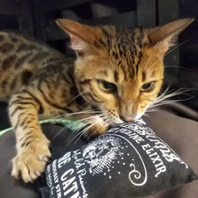 Load image into Gallery viewer, Dr. Pussums Regular Logo Catnip Pillow Catnip Toy
