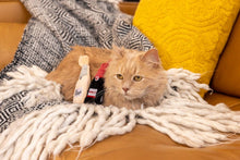 Load image into Gallery viewer, ZippyClaws Catnip Crusherz - Merlot