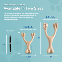 Load image into Gallery viewer, BetterBone HARD -Durable, All-Natural, No Nylon, Sustainable: Beef / Small (dogs under 25 lbs)