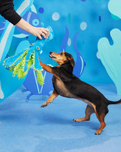 Load image into Gallery viewer, BARK Shifty Sid the Squid