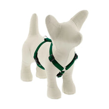 Load image into Gallery viewer, Lupine Roman Harness