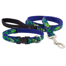 Load image into Gallery viewer, LupinePet Dog Collars & Leashes - New Designs!