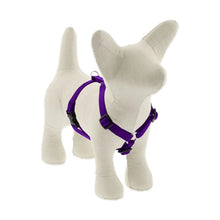 Load image into Gallery viewer, Lupine Roman Harness