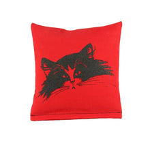 Load image into Gallery viewer, Soft Square Catnip Kicker Catnip Toy