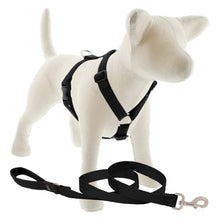 Load image into Gallery viewer, Lupine Roman Harness