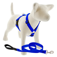 Load image into Gallery viewer, Lupine Roman Harness