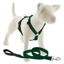 Load image into Gallery viewer, Lupine Roman Harness