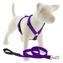 Load image into Gallery viewer, Lupine Roman Harness