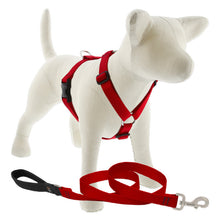 Load image into Gallery viewer, Lupine Roman Harness