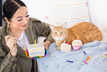 Load image into Gallery viewer, Birthday Cake Cat Toy Set
