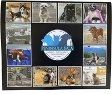 Load image into Gallery viewer, 2027 Pet Photo Calendar
