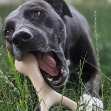 Load image into Gallery viewer, BetterBone HARD -Durable, All-Natural, No Nylon, Sustainable: Beef / Large (dogs over 25 lbs)
