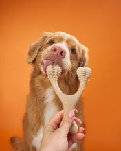 Load image into Gallery viewer, BetterBone HARD -Durable, All-Natural, No Nylon, Sustainable: Beef / Large (dogs over 25 lbs)
