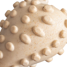 Load image into Gallery viewer, BetterBone HARD -Durable, All-Natural, No Nylon, Sustainable: Beef / Small (dogs under 25 lbs)
