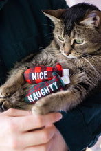 Load image into Gallery viewer, Christmas Naughty &amp; Nice Cat Toys, Set of 2
