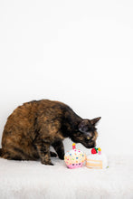 Load image into Gallery viewer, Birthday Cake Cat Toy Set
