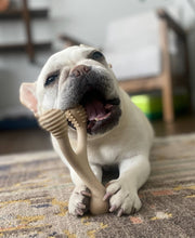 Load image into Gallery viewer, BetterBone HARD -Durable, All-Natural, No Nylon, Sustainable: Beef / Small (dogs under 25 lbs)
