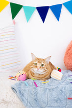 Load image into Gallery viewer, Birthday Cake Cat Toy Set
