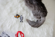 Load image into Gallery viewer, Bat &amp; Fish Skeleton Halloween Cat Toys, Set of 2

