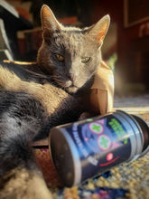 Load image into Gallery viewer, Smokey&#39;s Stash Silvervine Haze Potent Catnip and Silver Vine
