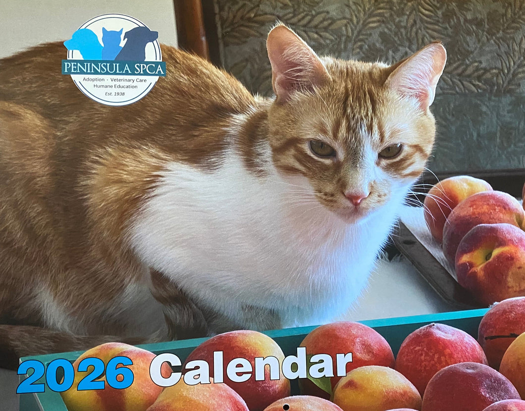 2026 Pet Photo Calendar