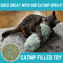 Load image into Gallery viewer, Cat Toy Pillows 3 Pack Soft &amp; Durable Crinkle Ball &amp; Catnip
