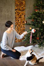 Load image into Gallery viewer, Holiday Santa Cat Christmas Teaser Wand Toy
