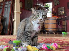 Load image into Gallery viewer, Smokey's Stash Organic Catnip Og Puss Pop Top
