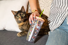 Load image into Gallery viewer, Sushi Cats Water Tumbler
